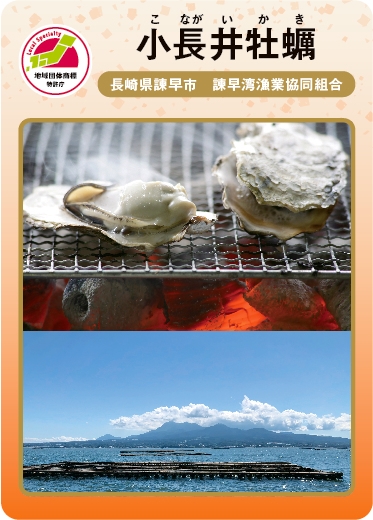 小長井牡蠣（表）