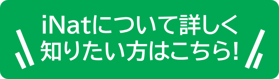 iNatトークセッション_画像5