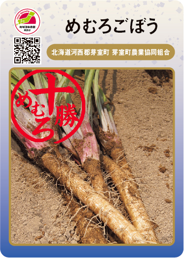 めむろごぼう