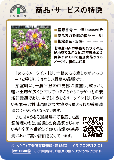 めむろメークイン（裏）