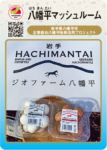 八幡平マッシュルーム