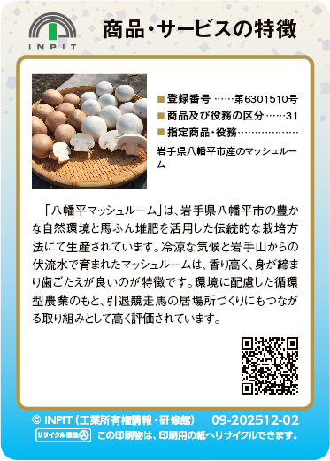 八幡平マッシュルーム（裏）