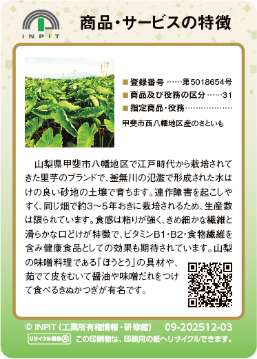 やはたいも（裏）