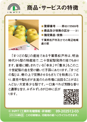 まつどの梨（裏）