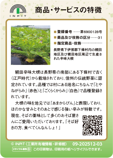 親田辛味大根（裏）