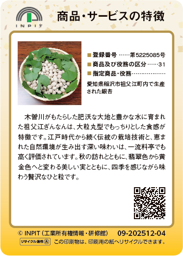 祖父江ぎんなん（裏）