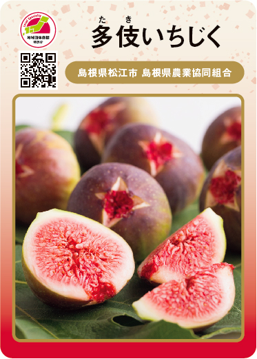 多伎いちじく