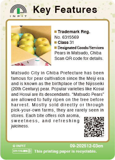 Matsudo Pears（裏）