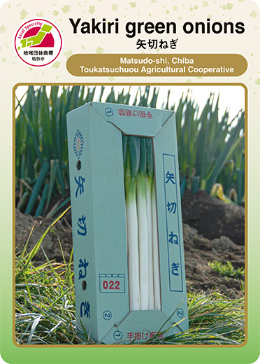 Yakiri green onions（表）