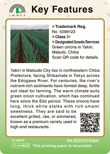 Yakiri green onions（裏）