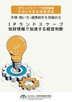 IPL支援事例画像